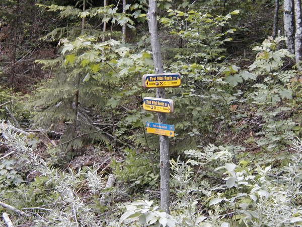 oder geradeaus weiter nach Pinegg