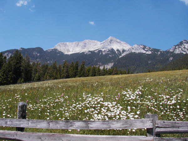 Blick zur Guffertspitze von Steinberg