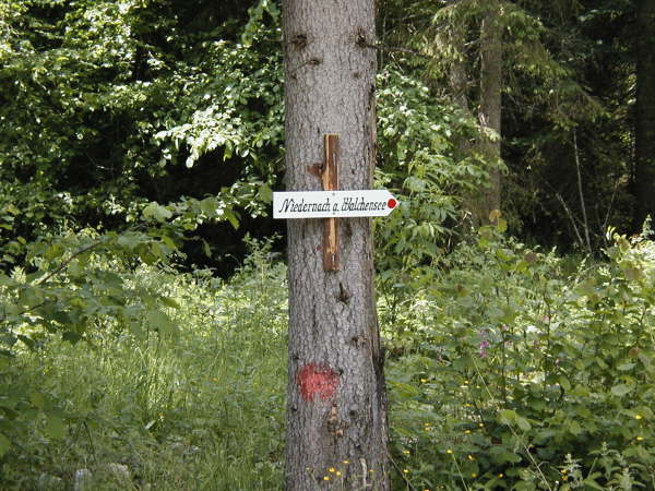 Richtung Niedernach / Walchensee