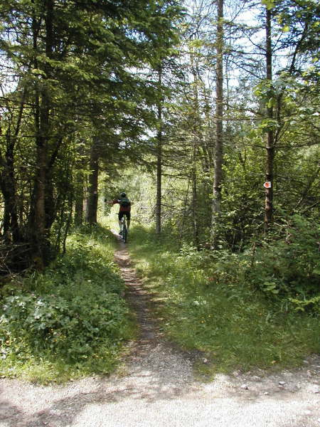 Der Weg wird zum Trial