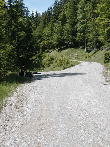 Nach links leicht bergab abbiegen