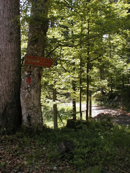 Weiter Richtung Vorderriss, Galgenwurfsattel