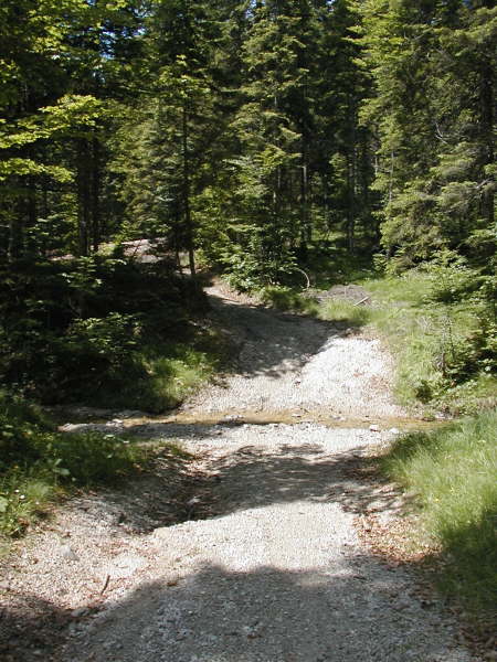 ber einen Bachgraben