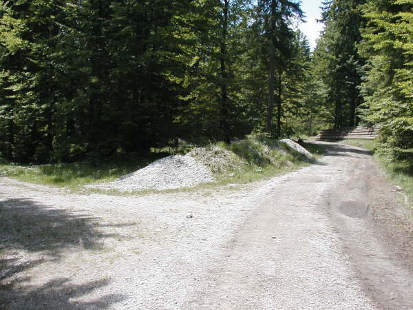 Wegzweig Galgenwurfsattel