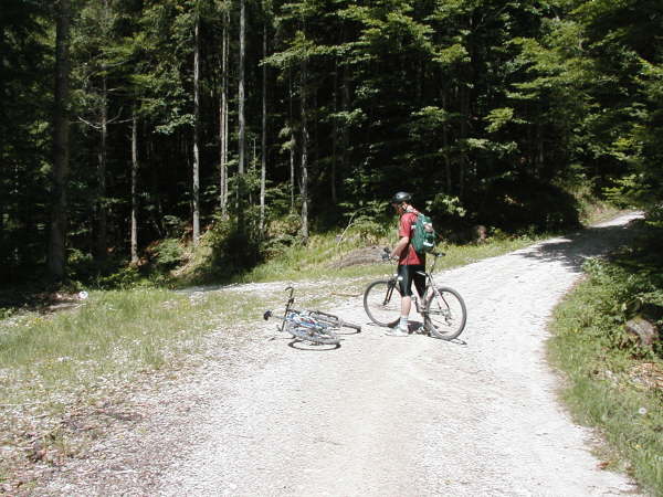 Links auf den Waldweg abzweigen
