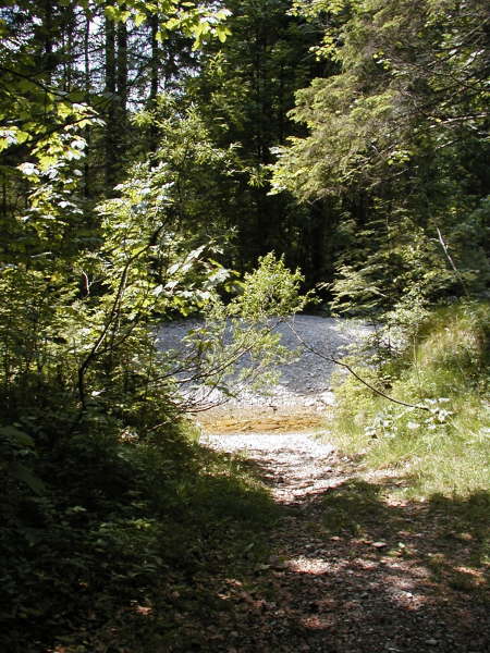 Das Ende des Weges am Bach