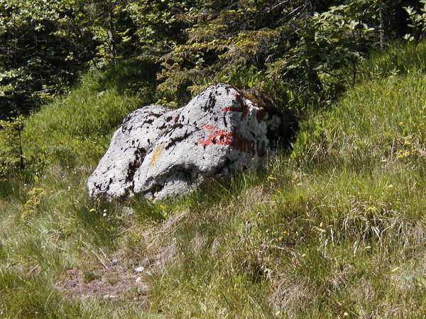 Der Stein mit der Wegmakierung Richtung Jachenau