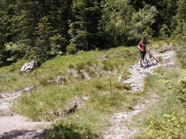 Rechts bergauf das Rad schieben