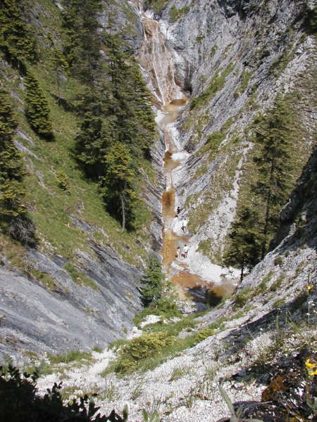 Toller Blick in eine Schlucht