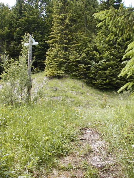 Mndung an den nun wieder befahrbaren Forstweg