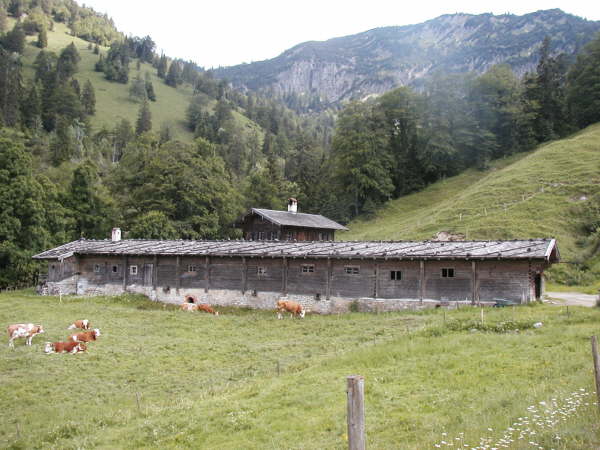 Knigsalm