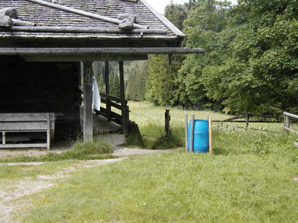 auf dem Pfad neben der Knigsalm