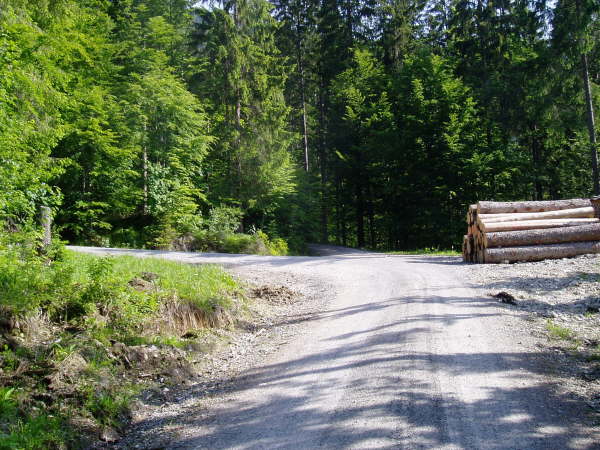 links weiter bergauf