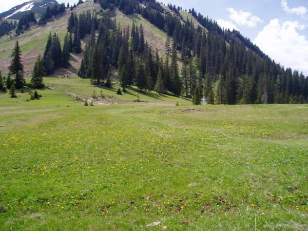 dem Pfad ber die Wiesen folgen