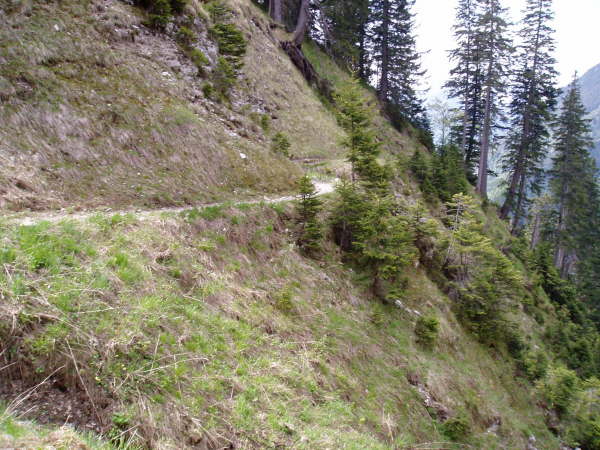 stets am Hang entlang