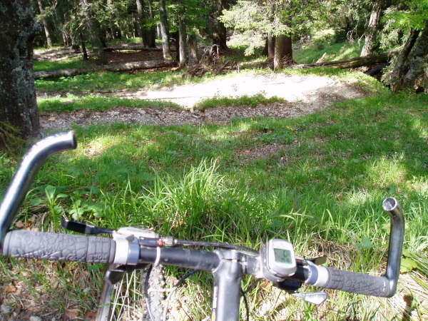 Den Serpentienen bergab folgen