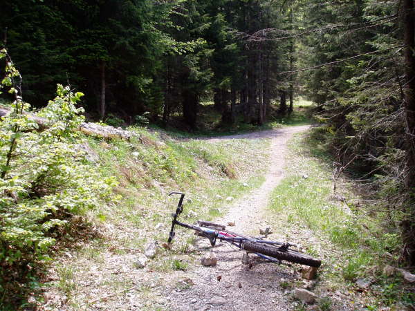 geradeaus weiter fahren