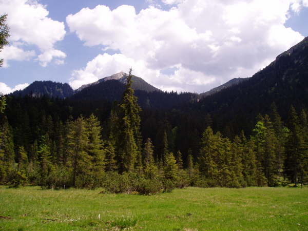 Blick zurck zur Enningalm