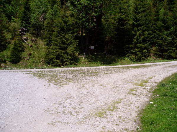 rechts zum Rotmoossattel fahren