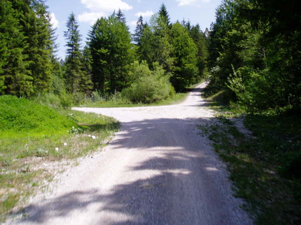 links weiter dem Hauptweg folgen