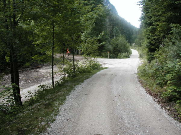 geradeaus durch die Riedenberger Wiesen