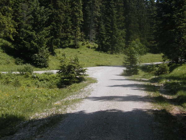 geradeaus weiter fahren