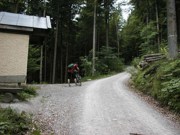 Gleich steil bergauf