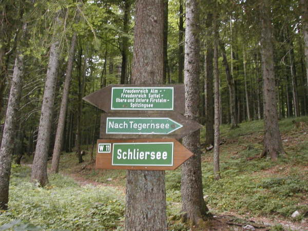 Richtung Freudenreich Alm ....