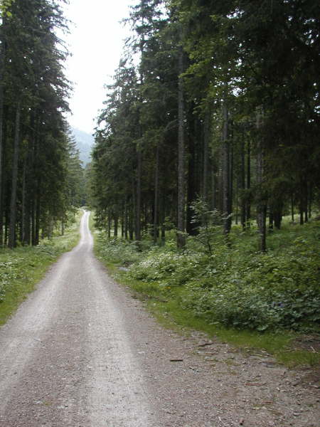 nicht mehr ganz so steil