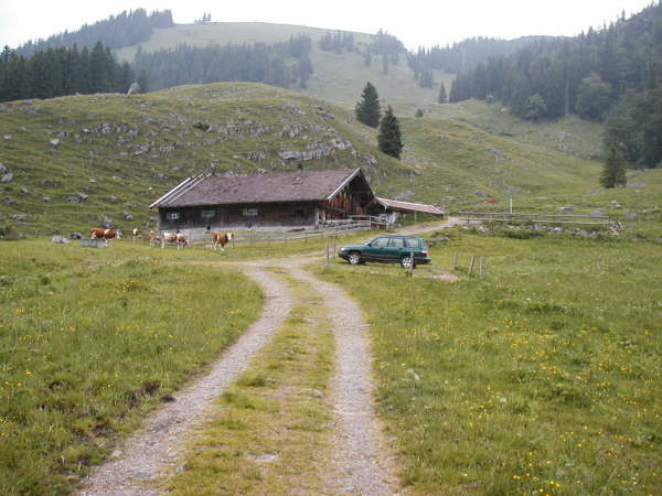 Die Freudenreich Alm