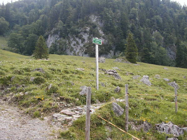 Weiter bergauf das Rad schieben