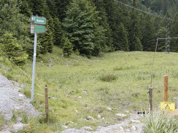 Weiter ber die Wiese