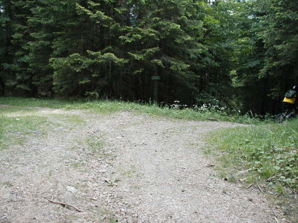 Rechts in den Wald hinein abbiegen