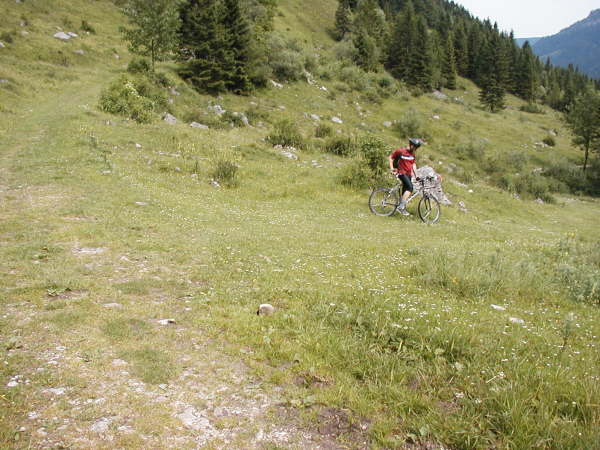 Rechts auf den Wiesenpfad abzweigen