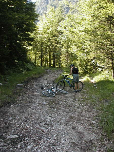 Links weiter bergauf (Weg wird gleich zum Pfad)