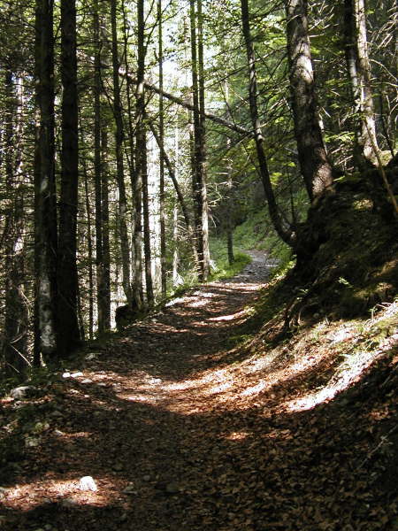 Pfadweg weiter bergauf fahren/schieben