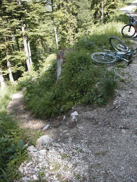 M�ndung am Schotterweg