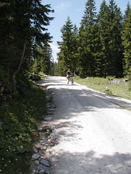 Stets dem Hauptweg bergauf