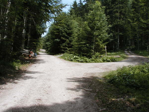 Immer geradeaus weiter