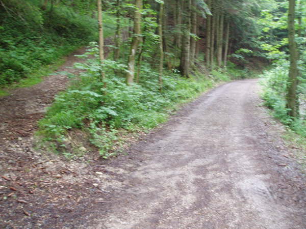 und stets geradeaus weiter fahren