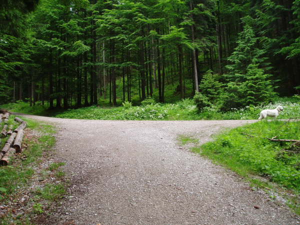 links weiter bergauf