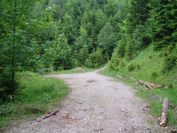 Dem Hauptweg links folgen