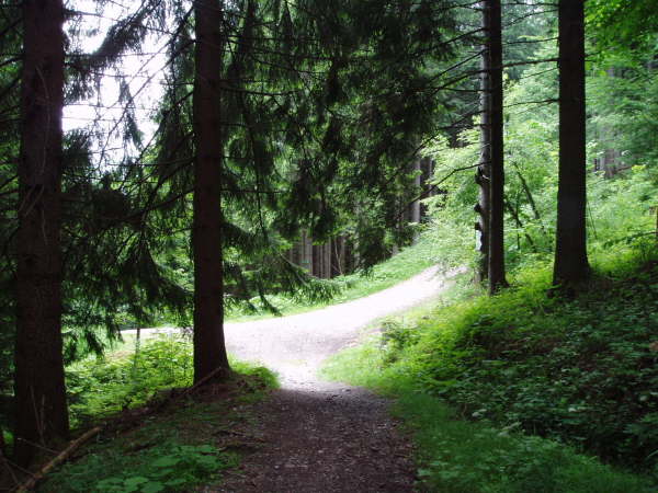 Rechts wieder bergauf