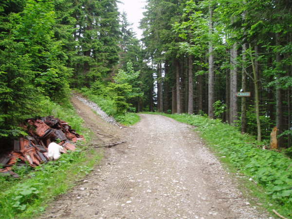 Links auf den Schmallen Weg abzweigen