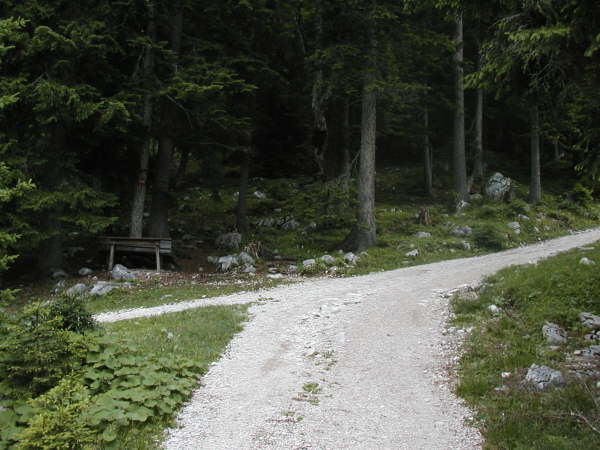 rechts weiter steil bergauf