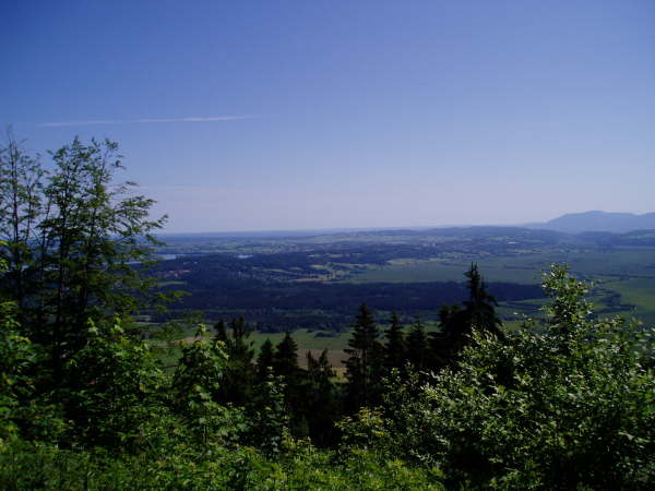 Blick aufs Murnauer Moos