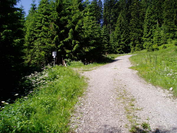 Links auf den schmalen Weg abzweigen