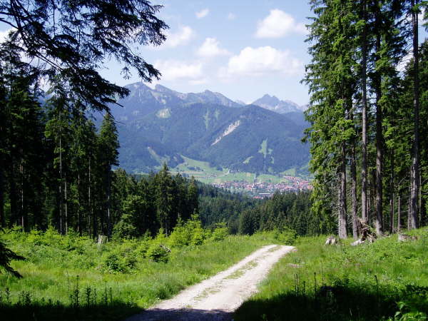 Blick nach Unterammergau