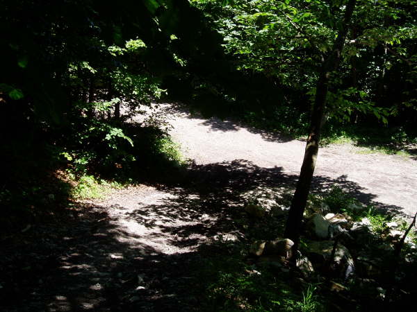 M�ndung am Forstweg