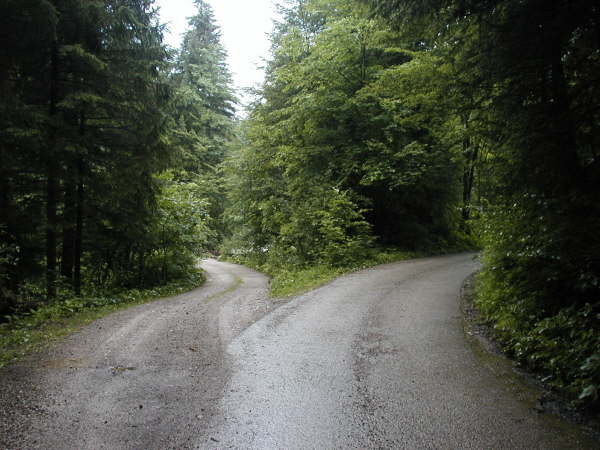Rechts weiter leicht bergauf auf der Aphaltstrae bleiben